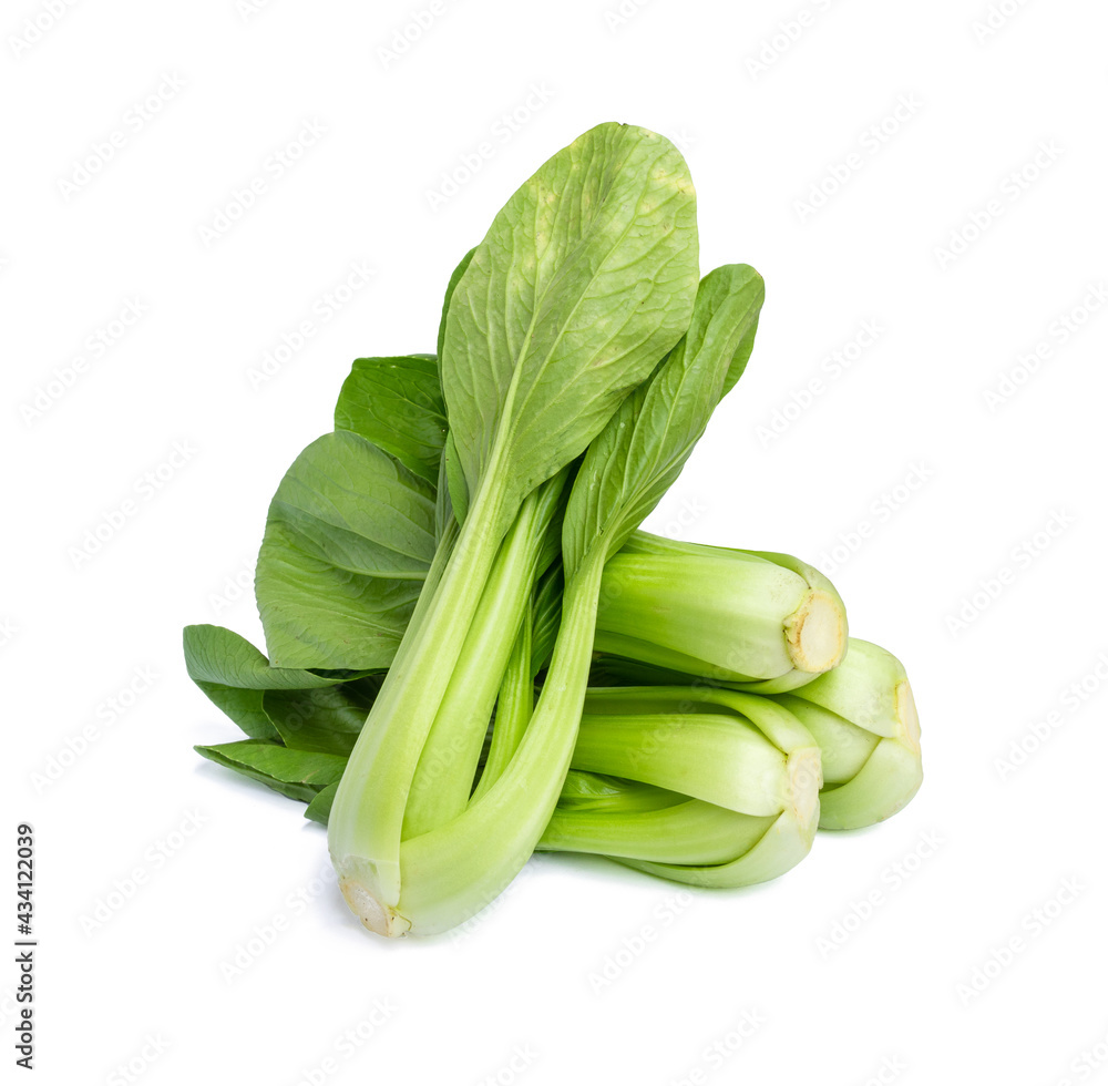 Fresh bok choy vegetable fresh (chinese cabbage) isolated on white background Fresh bok choy vegetable fresh (chinese cabbage) isolated on white background