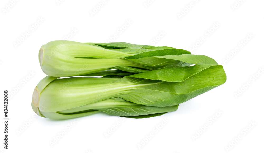 Fresh bok choy vegetable fresh (chinese cabbage) isolated on white background Fresh bok choy vegetable fresh (chinese cabbage) isolated on white background