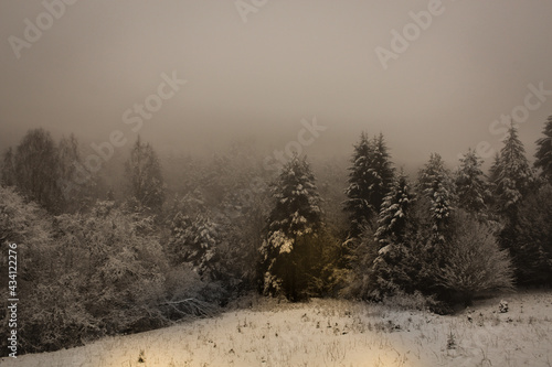 God ray through the fog lighting up a patch in a winter forest