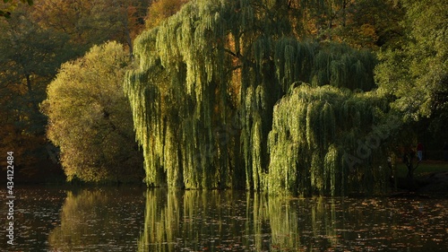 Jesienny krajobraz Polska © Piotr