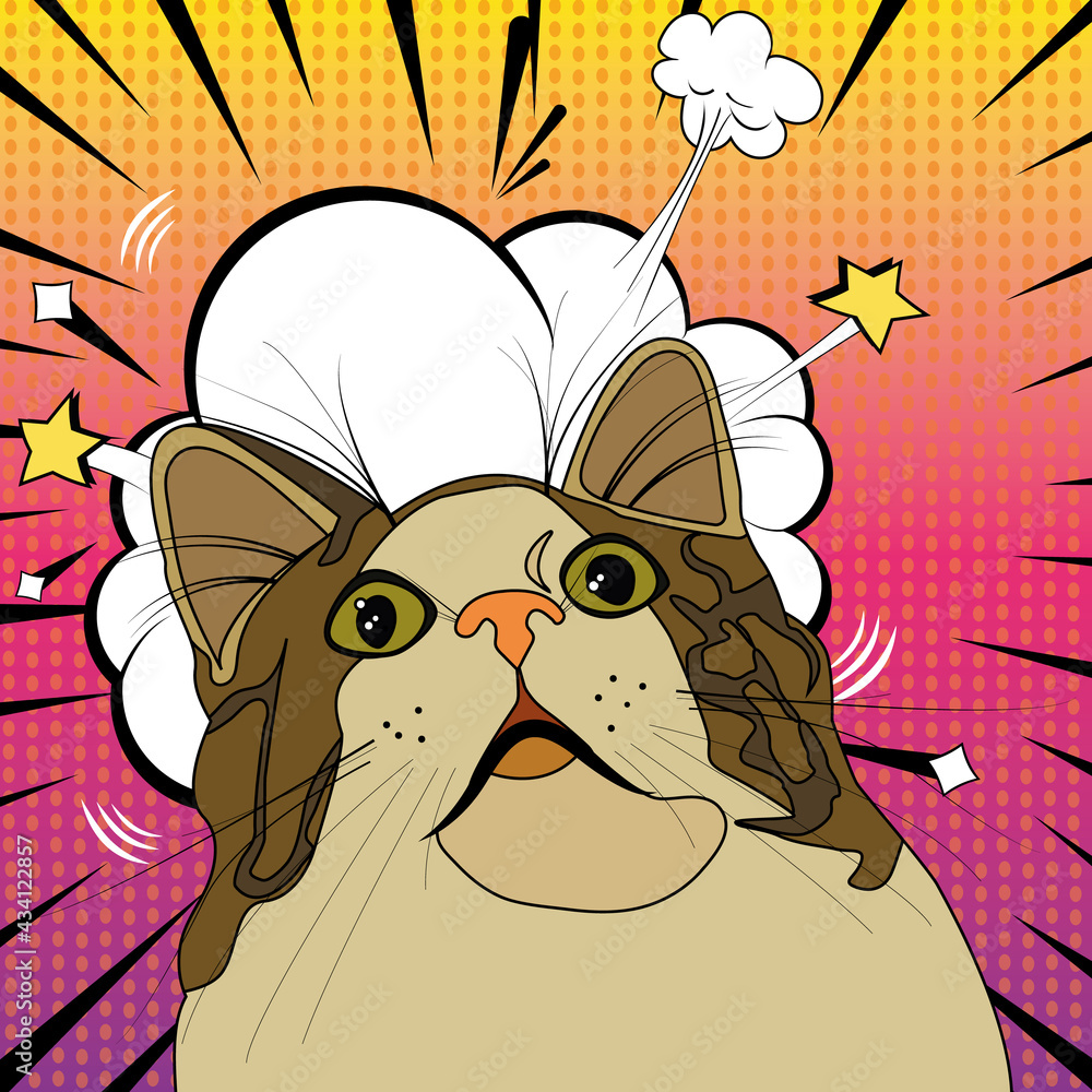 Funny Cat On The Background Of The Explosion Pop Art Illustration 
