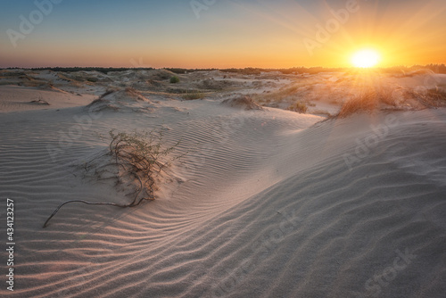 Sand dunes of the desert at sunset, scenic landscape, Oleshky Sands nature park (Oleshkivski pisky), the second largest desert in Europe, Kherson oblast, Ukraine, outdoor travel background
