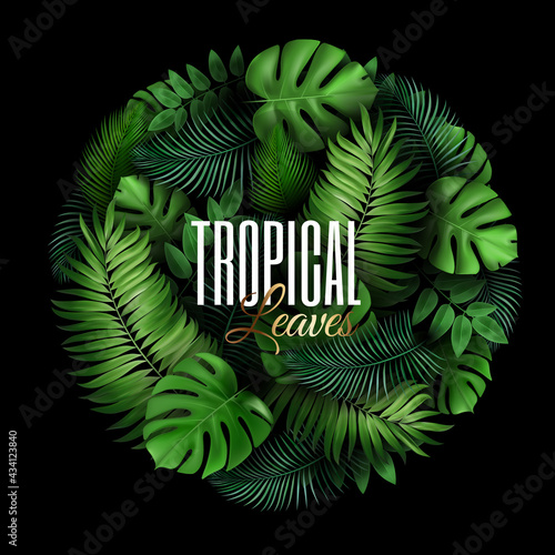 Natural Realistic Green Palm Leaf Tropical Circle Background. Summer Time Concept. Template for advertising web social media and fashion ads. Vector illustration.