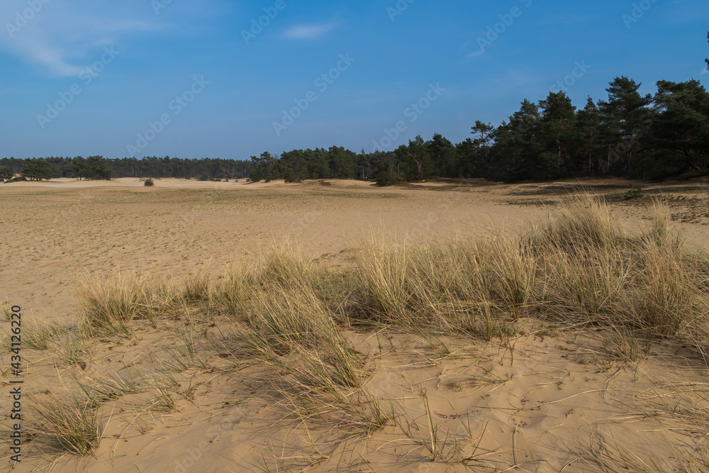 Fototapeta premium zandverstuiving de haere