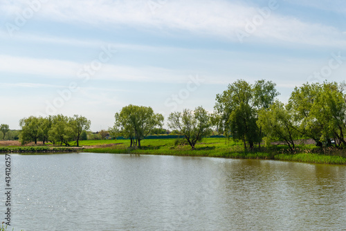 Lake in the park with trees on the shore
