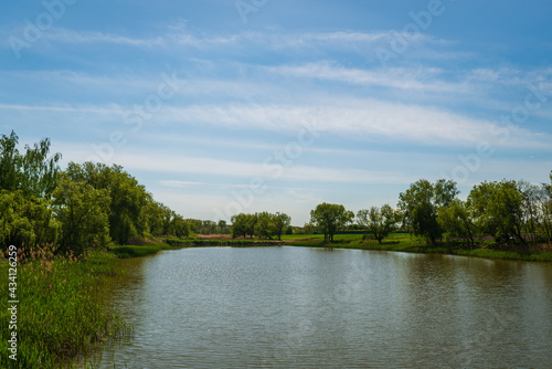 Lake in the park