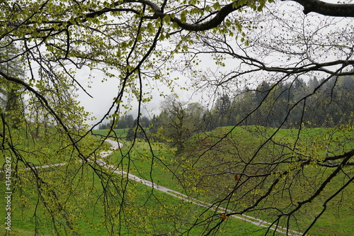 Wanderung Bichlersee - Hohe Asten photo