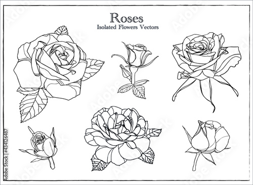 Set of Roses Flowers Monochrome Vectors isolated on white Background  photo