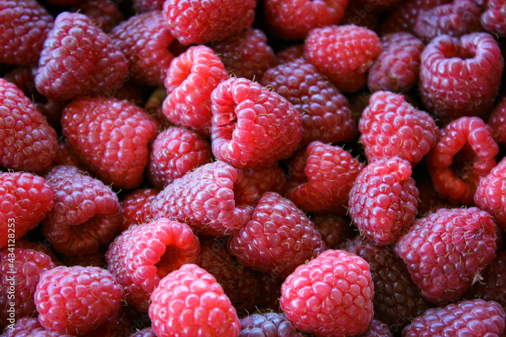 Raspberries. Raspberry background. Ripe raspberries. Raspberries. Raspberry background. Ripe raspberries.