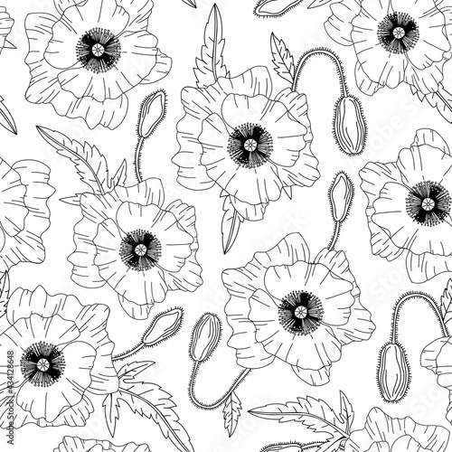 Vector seamless pattern with poppies flowers on white background. Botanical design for packaging  wrapping paper  wallpaper  fabric. Outline poppy.  Summer floral backdrop with poppy flowers.