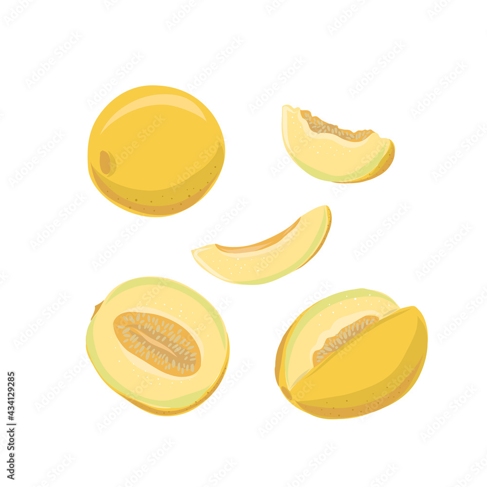 Set of hand drawn vector illustration of yellow melon fruit against white background. Whole, sliced, sliced melon. Design for fabric, paper, menu, cuisine, cafes and restaurants. Set of hand drawn vector illustration of yellow melon fruit against white background. Whole, sliced, sliced melon. Design for fabric, paper, menu, cuisine, cafes and restaurants.