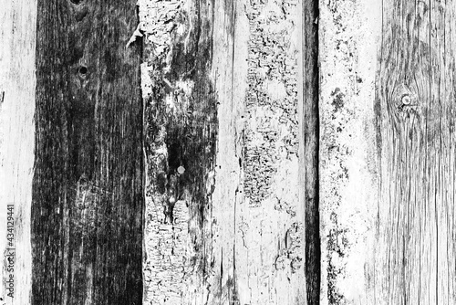 White wood texture background of distressed pine wood with knots