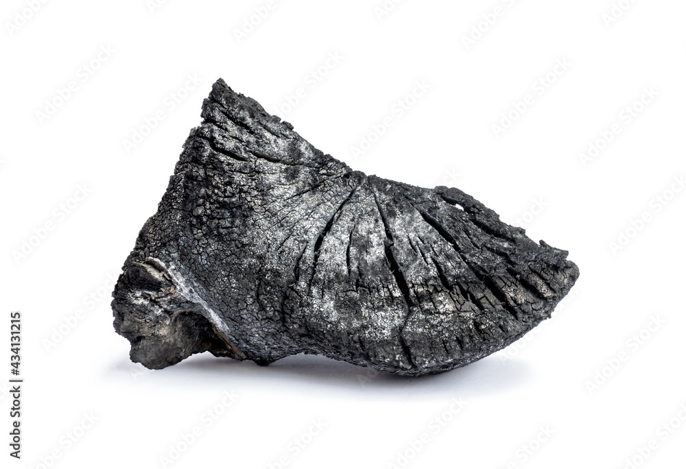 Natural wood charcoal isolated on white background. Hardwood charcoal. Natural wood charcoal isolated on white background. Hardwood charcoal.
