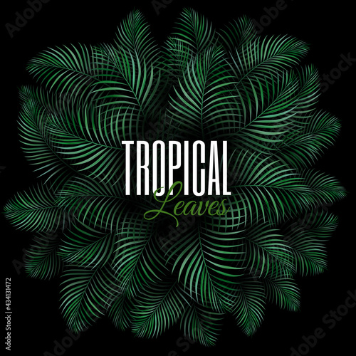 Round concept composition with tropical plants. Natural Realistic Green Palm Leaf Tropical Background urban jungle vector illustration design template for advertising web social media and fashion ads