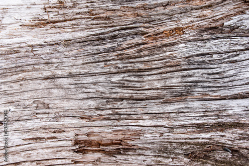 old wood texture