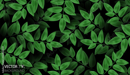 Natural Realistic pattern branch with fresh green leaves. Colorful dark background. Trendy repeat fashion print wallpaper or fabric. Cute vector.