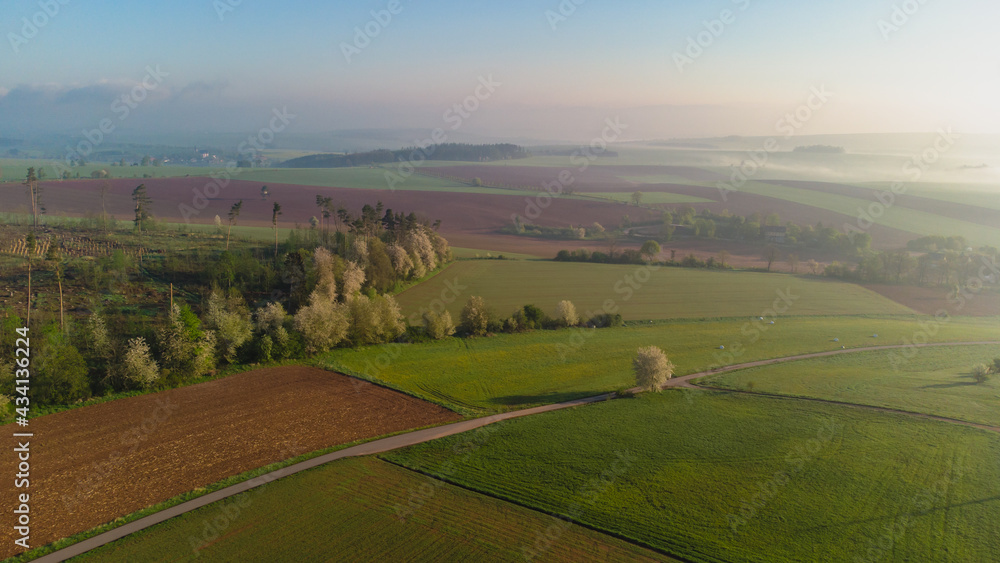 Aerial drone view to long paths between huge fields at sunny morning. Radkow, Poland.