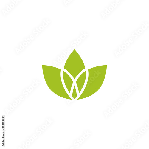 five Green sprouts, sprigs, raw with silhouette leaf. Icon Isolated on white. Logo for eco company