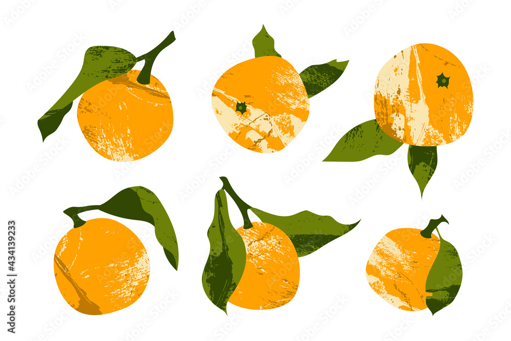 Juicy mandarin, tangerine, orange, clementine. Fresh citrus fruit, healthy organic food. Ripe fruits with leaves. Vector flat cartoon botanical illustration. Perfect for logo, stamp, brand, mark
