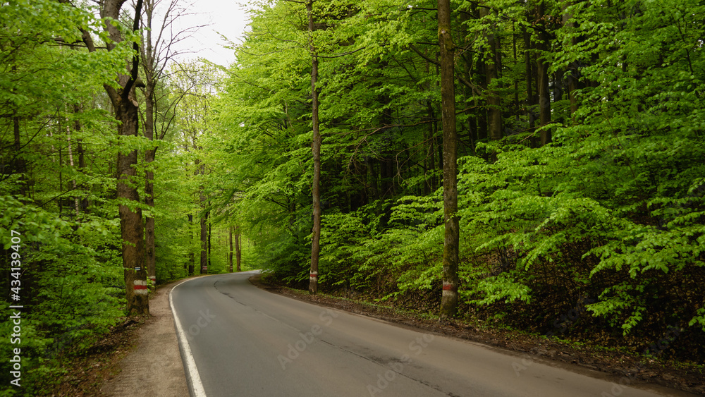 Fototapeta premium Highway with a hundred bends. Radkow, Poland.