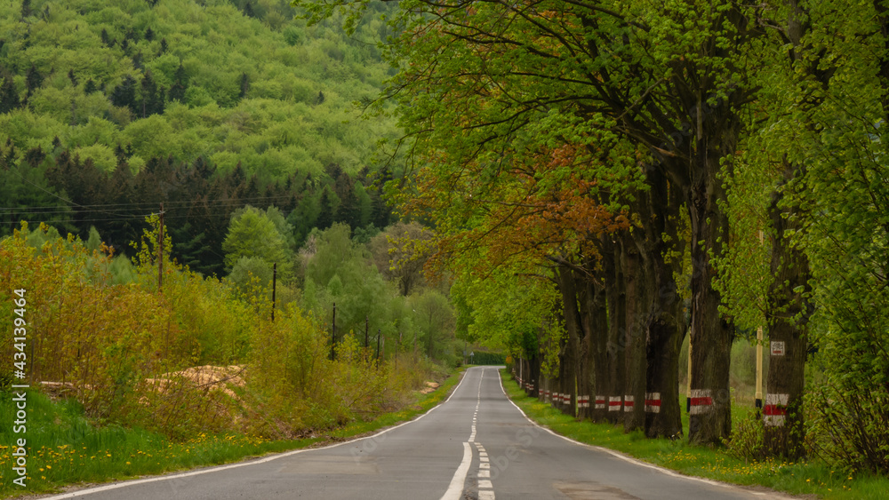 The beginning of the road of one hundred bends in Radków. The beginning of the road of one hundred bends in Radków.