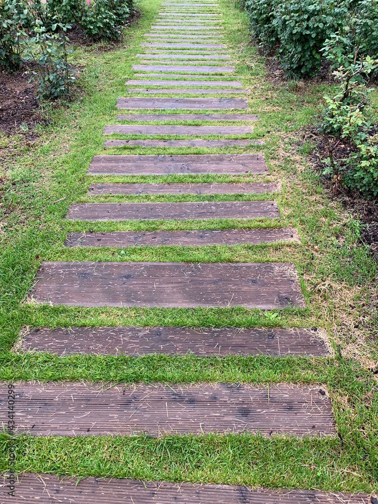 path in the garden path in the garden
