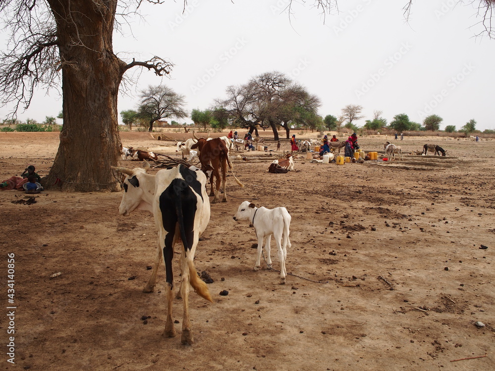 Un puit dans le désert du Sahel, Tchad
