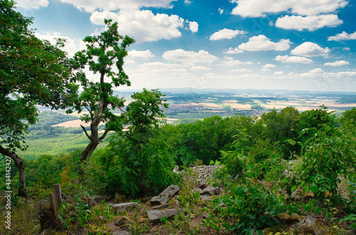 Fototapeta Naklejka Na Ścianę i Meble -  Wald mit felsiger Landschaft im Sommer