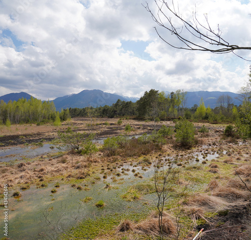 Wildes Moor bei Kolbermoor/Bad Feilnbach photo