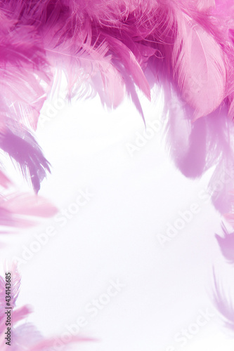 pink feathers frame card