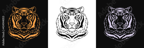Fototapeta Naklejka Na Ścianę i Meble -  Gold, black and silver tiger head, set of isolated outline tiger face