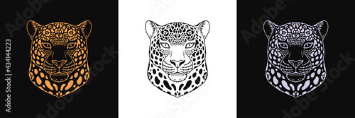 Gold, black and silver jaguar head, set of isolated outline jaguar face. Spotted panther, predatory wildcat photo