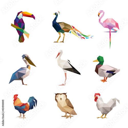 poultry low poly polygonal triangle geometric design set for logo icon symbol