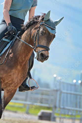 Reiterin mit Pferd im Galopp