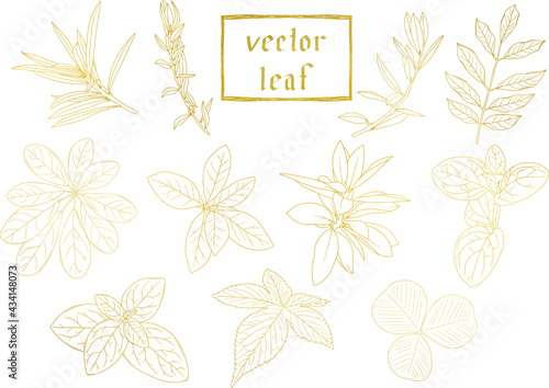 リーフ・植物の繊細なゴールドの線画セット1　ベクター素材