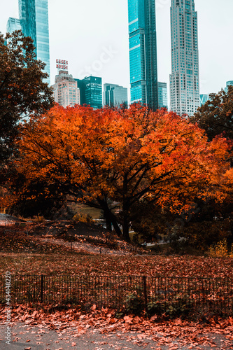 autumn in the city