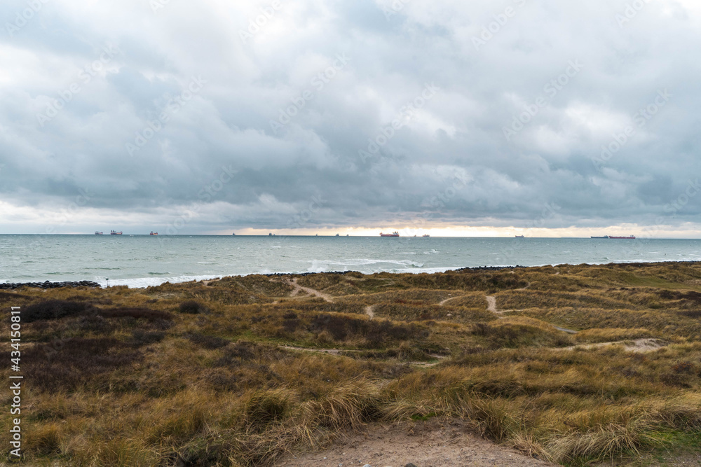 view of the beach grenen Denmark
