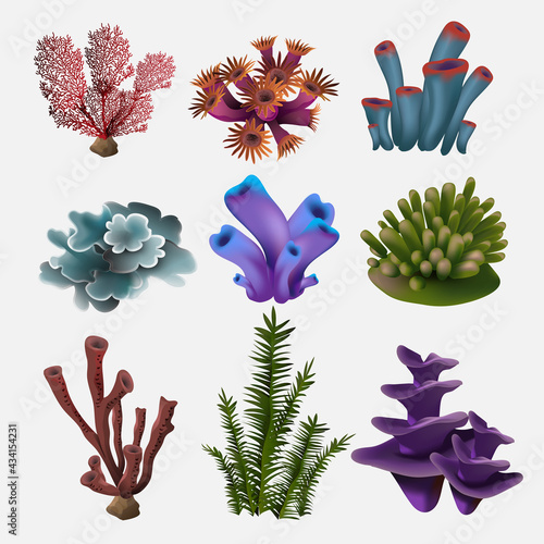 Coral and seaweed. Underwater flora, sea water seaweeds aquarium, kelp and corals. Ocean plants vector color set. Vector illustration