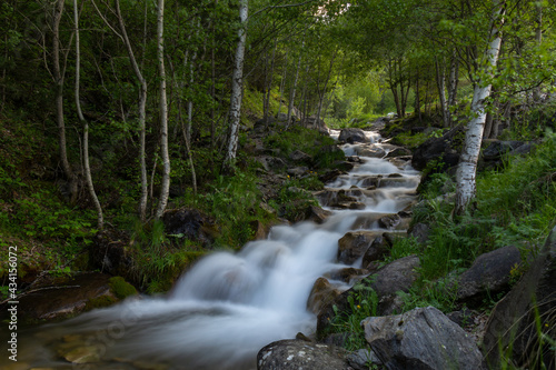 river water flows among the stones of a green forest