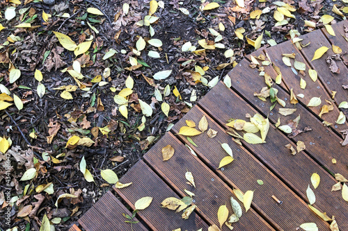 Yellow autumn leaves lie on the gray ground and wooden flooring.