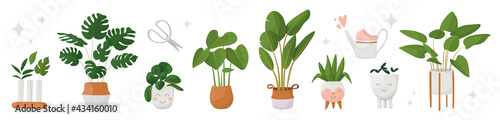 set of home plants in pots. vector illustration in cartoon style.