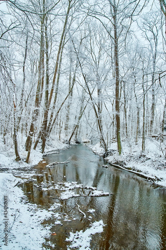 Snowy river in forest © Nicholas J. Klein