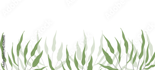 Floral web banner with drawn color exotic leaves. Nature concept design. Modern floral compositions with summer branches. Vector illustration on the theme of ecology, natura, environment