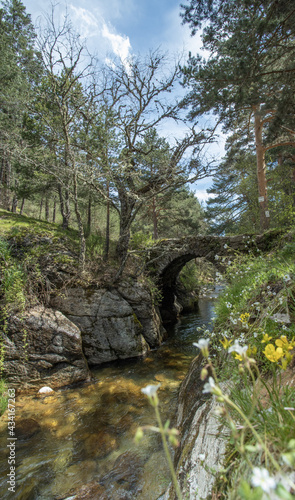 Puente romano y flores