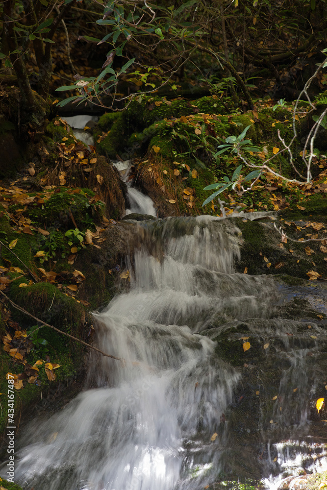 Obraz premium Cascading Stream in the mountains