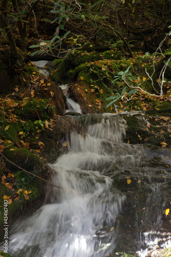 Fototapeta Naklejka Na Ścianę i Meble -  Cascading Stream in the mountains