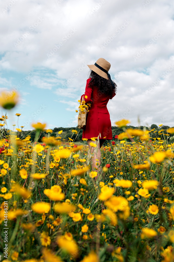 Back view anonymous trendy female in red sundress and handbag standing on blossoming field with yellow and red flowers and touching hat on warm summer day Back view anonymous trendy female in red sundress and handbag standing on blossoming field with yellow and red flowers and touching hat on warm summer day