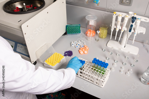 From above of crop unrecognizable scientist with sample tubes in rack against centrifugal machine in cannabis laboratory photo