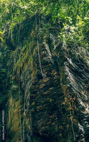 Spider web at cliff on Salto das Andorinhas, Ascurra, Santa Catarina, Brazil photo