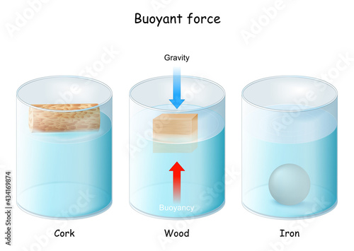 Buoyant force. Archimedes' principle